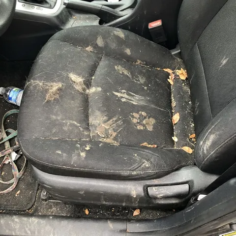 Asiento de auto con pelos y huellas de barro